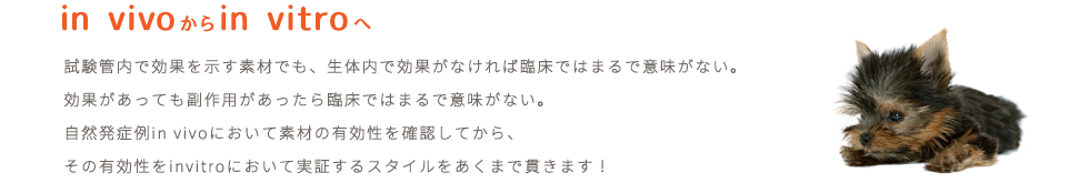 in vivoからin vitroへ。試験管内で効果を示す素材でも、生体内で効果がなければ臨床ではまるで意味がない。 効果があっても副作用があったら臨床ではまるで意味がない。自然発症例in vivoにおいて素材の有効性を確認してから、その有効性をinvitroにおいて実証するスタイルをあくまで貫きます！